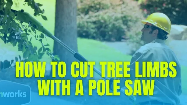 how to cut tree limbs with a pole saw 1 how to cut tree limbs with a pole saw