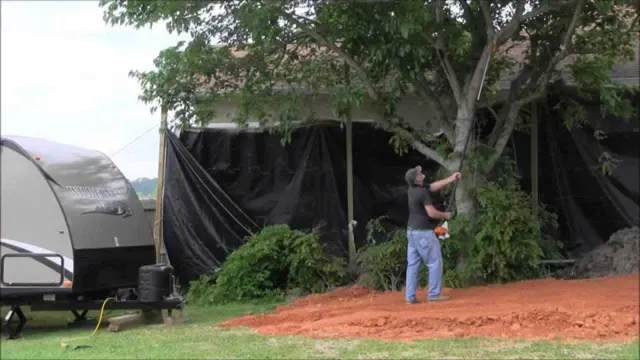 how to trim tree with pole saw how to trim tree with pole saw